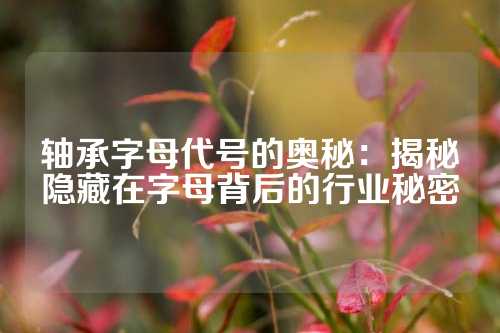 轴承字母代号的奥秘：揭秘隐藏在字母背后的行业秘密