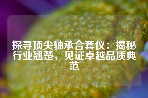 探寻顶尖轴承合套仪：揭秘行业翘楚，见证卓越品质典范