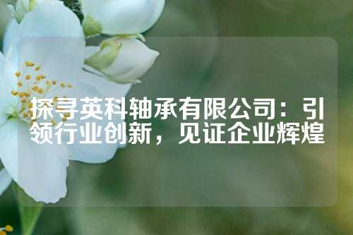 探寻英科轴承有限公司：引领行业创新，见证企业辉煌