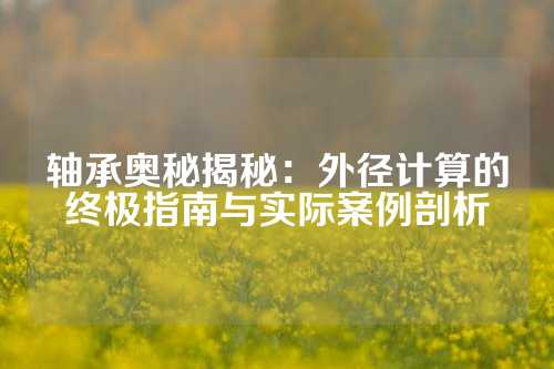 轴承奥秘揭秘：外径计算的终极指南与实际案例剖析