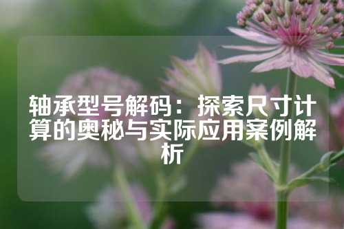 轴承型号解码：探索尺寸计算的奥秘与实际应用案例解析