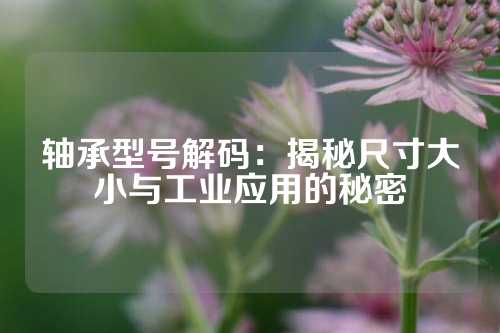 轴承型号解码：揭秘尺寸大小与工业应用的秘密