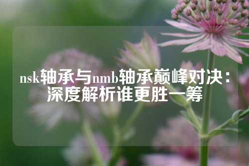 nsk轴承与nmb轴承巅峰对决：深度解析谁更胜一筹