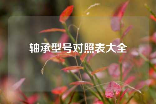 轴承型号对照表大全