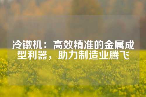 冷镦机：高效精准的金属成型利器，助力制造业腾飞