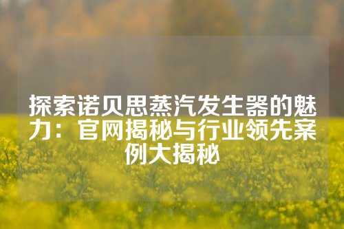 探索诺贝思蒸汽发生器的魅力：官网揭秘与行业领先案例大揭秘