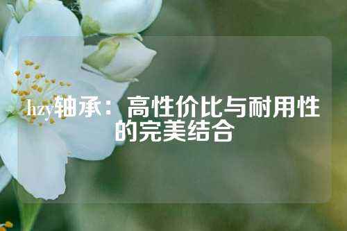 hzy轴承：高性价比与耐用性的完美结合