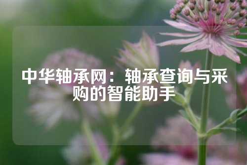 中华轴承网：轴承查询与采购的智能助手