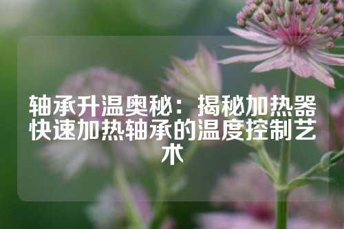 轴承升温奥秘：揭秘加热器快速加热轴承的温度控制艺术