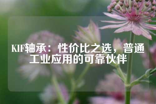 KIF轴承：性价比之选，普通工业应用的可靠伙伴