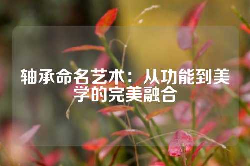 轴承命名艺术：从功能到美学的完美融合