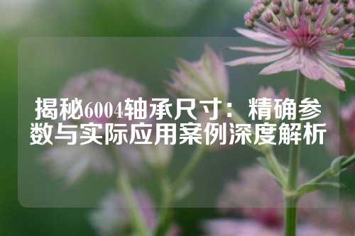 揭秘6004轴承尺寸：精确参数与实际应用案例深度解析