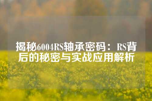 揭秘6004RS轴承密码：RS背后的秘密与实战应用解析