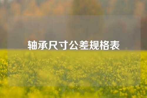 轴承尺寸公差规格表