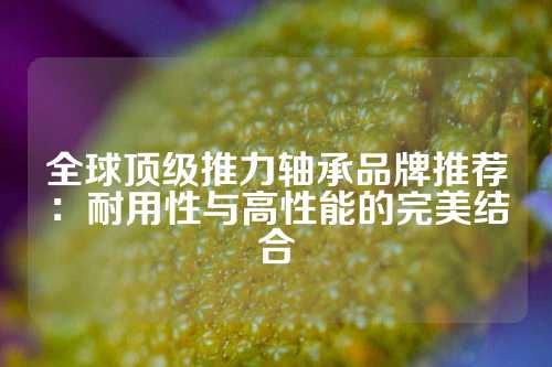 全球顶级推力轴承品牌推荐：耐用性与高性能的完美结合