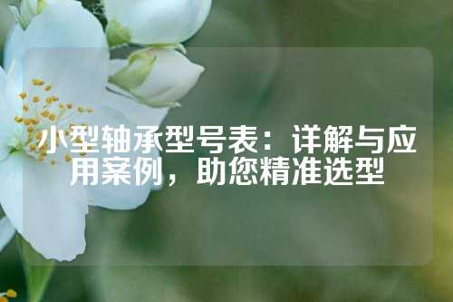 小型轴承型号表：详解与应用案例，助您精准选型