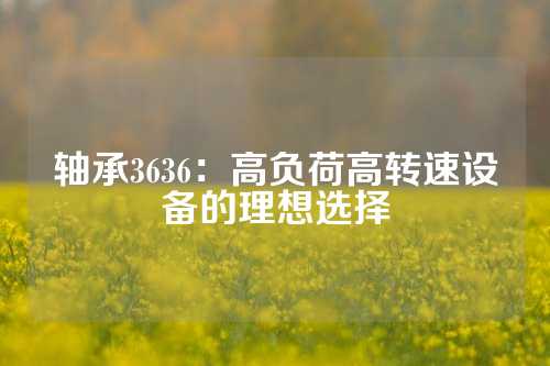 轴承3636：高负荷高转速设备的理想选择