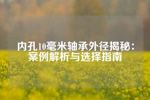 内孔10毫米轴承外径揭秘：案例解析与选择指南