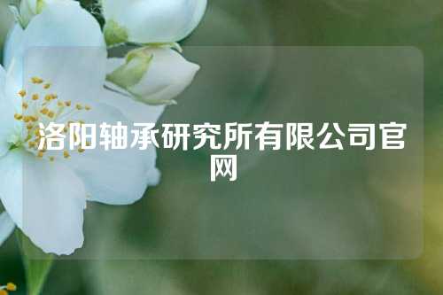 洛阳轴承研究所有限公司官网