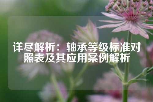 详尽解析：轴承等级标准对照表及其应用案例解析