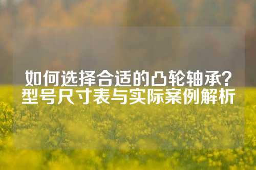 如何选择合适的凸轮轴承？型号尺寸表与实际案例解析