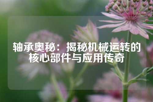 轴承奥秘：揭秘机械运转的核心部件与应用传奇