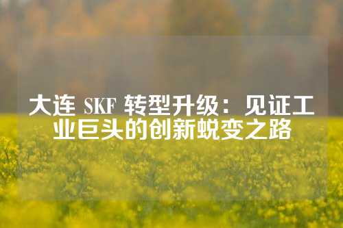 大连 SKF 转型升级：见证工业巨头的创新蜕变之路