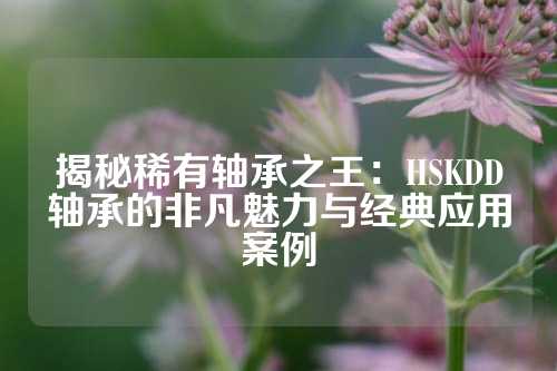 揭秘稀有轴承之王：HSKDD轴承的非凡魅力与经典应用案例