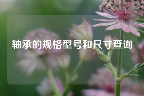 轴承的规格型号和尺寸查询